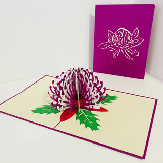 Waratah Australian Native Flower in Purple & White Origami Pop Cards 3D Pop Up Greeting Card Happy Birthday Thank You Handmade Gift Thinking of You Blank Card for Any Occasion Happy Mother's Day Happy Father's Australiana (Copy)