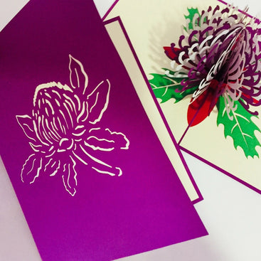 Waratah Australian Native Flower in Purple & White Origami Pop Cards 3D Pop Up Greeting Card Happy Birthday Thank You Handmade Gift Thinking of You Blank Card for Any Occasion Happy Mother's Day Happy Father's Australiana (Copy)